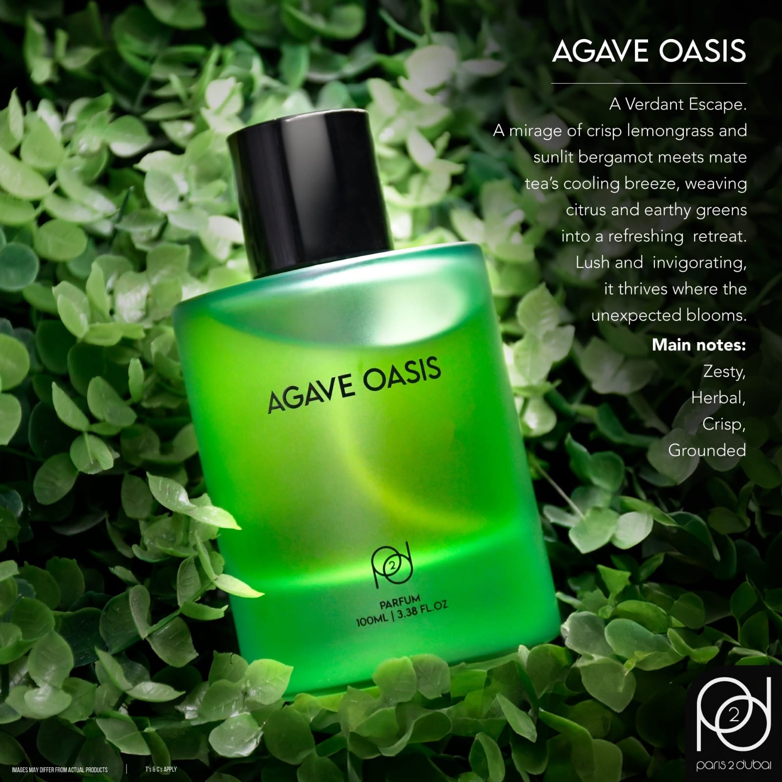Agave Oasis - Cactus Garden by Louis Vuitton - Paris 2 Dubai - Scentify