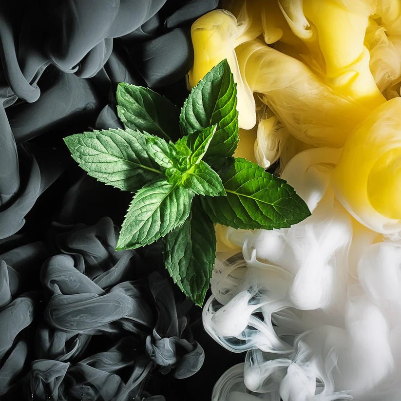 New West by Aramis - Forever Fragrances - Scentify