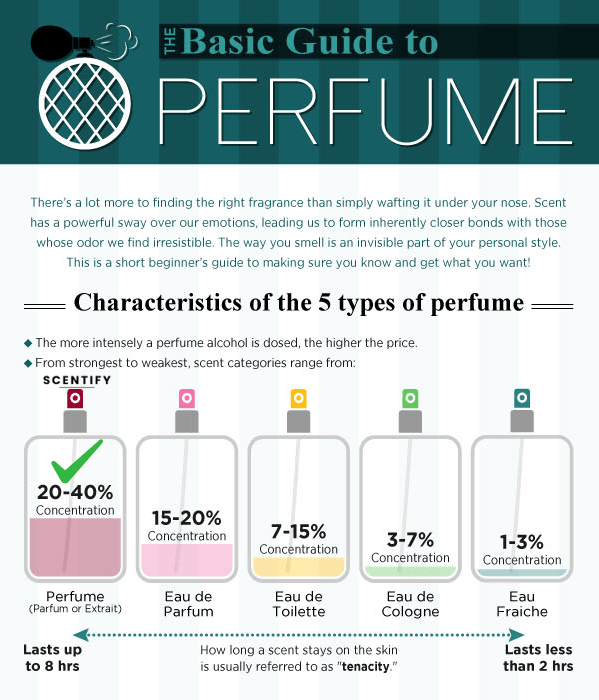 Versace Pour Homme by Versace - Fine Fragrance Collection - Scentify
