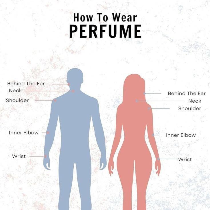 Versace Pour Homme by Versace - Fine Fragrance Collection - Scentify