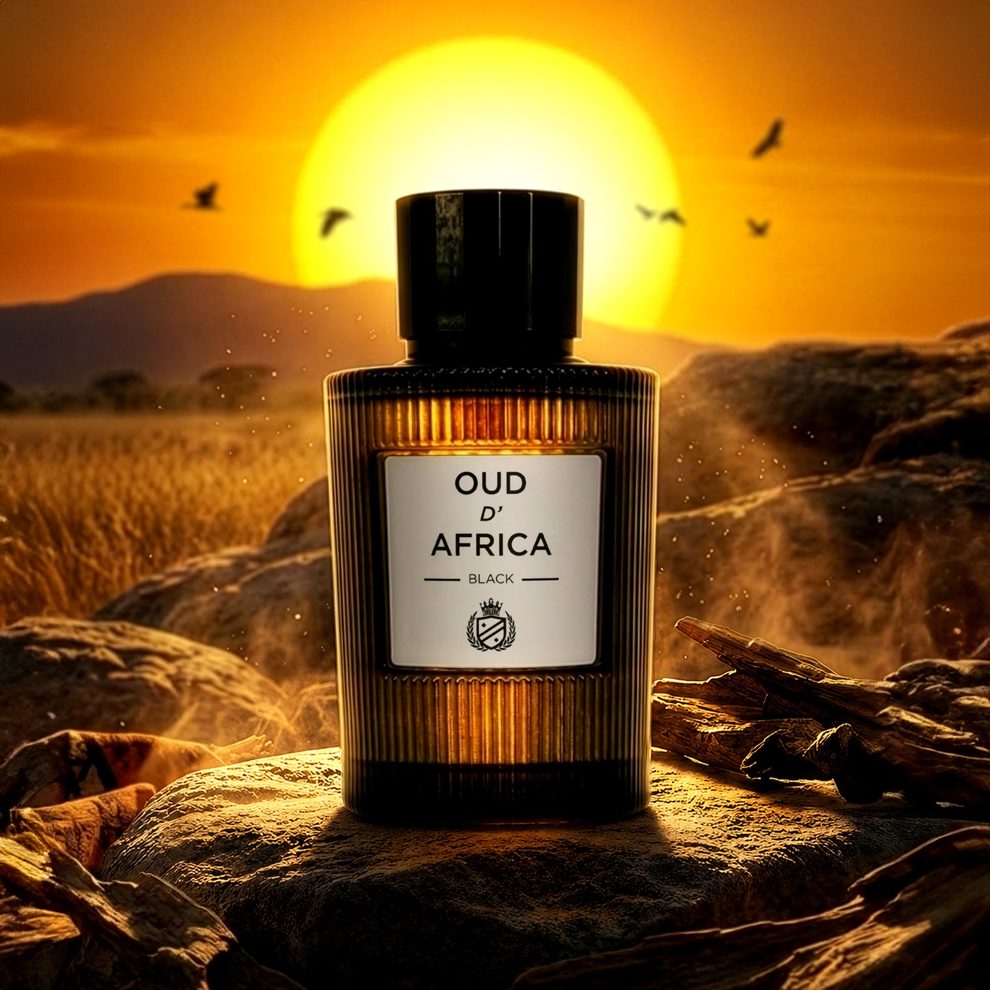 Oud D' Africa inspired by Colonia Oud