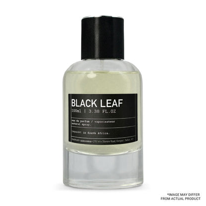 Black Leaf - The Noir 29 by Le Labo - Paris 2 Dubai - Scentify